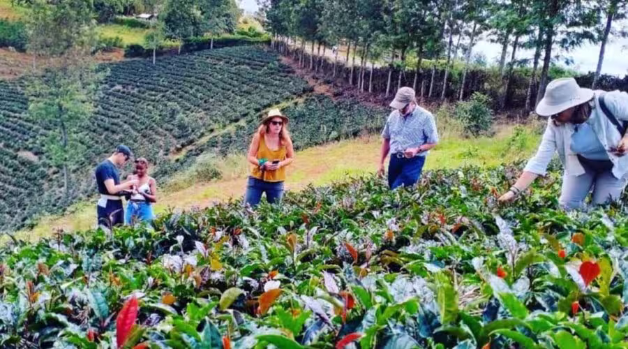 Agriculture & Farm Tours