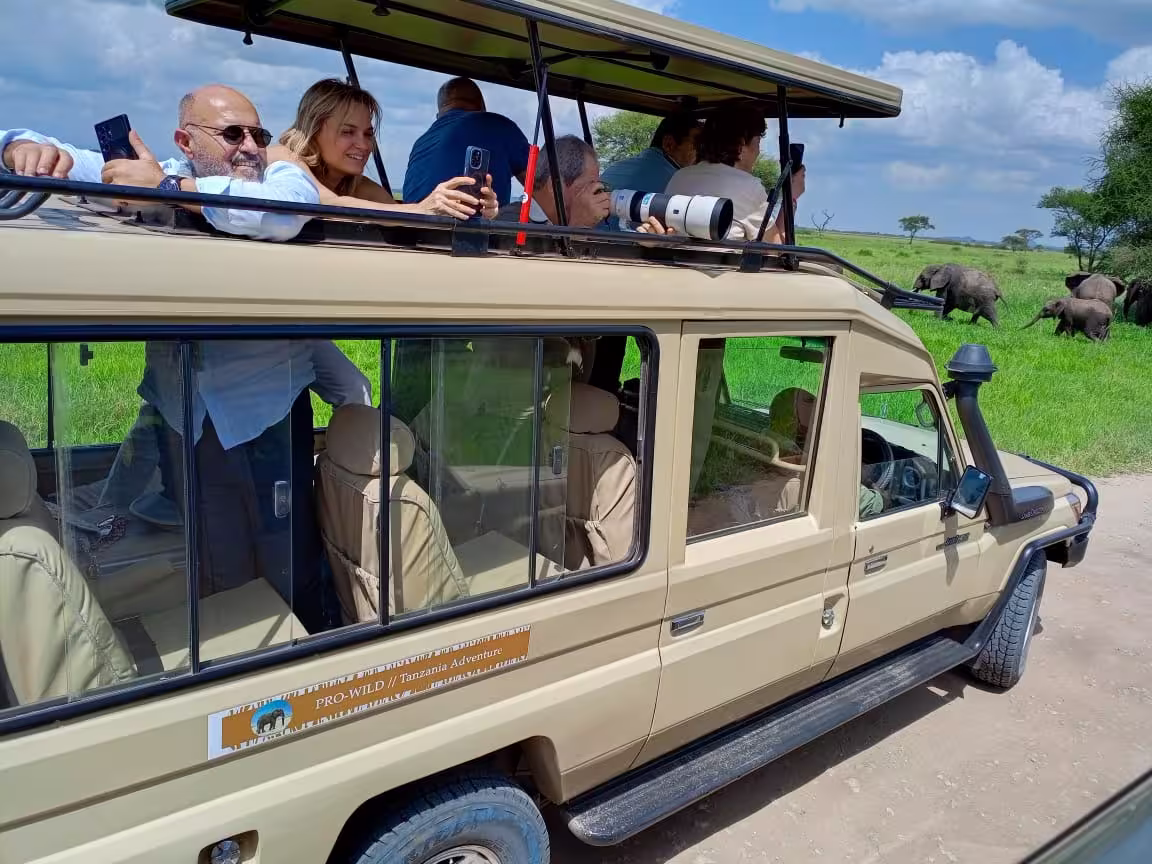 Morning & Evening Game Drives