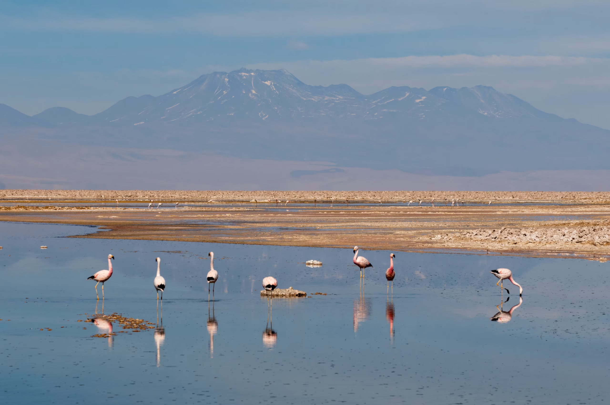Lake Natron